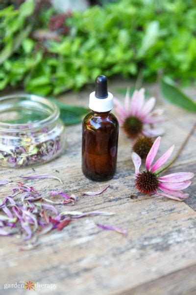 Essences and How to Make the Most of Them.